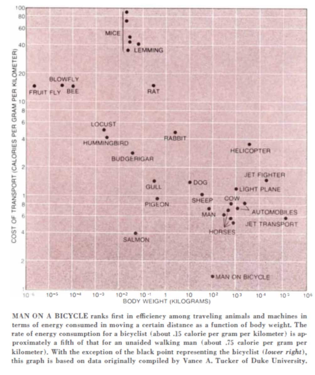 A chart displaying the transportation energy efficiency of various animals and human modes of transport. Bicycling is, by a large margin, the most efficient method of transportation in the chart.